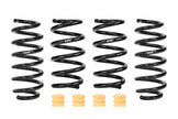 Eibach 2026 Tesla Model Y RWD Juniper Pro-Kit